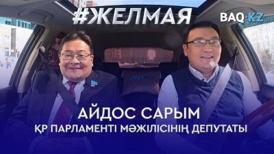 #Желмая. Айдос Сарым: Бізге ылаң емес, заң керек