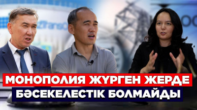 Монополия жүрген жерде бәсекелестік болмайды – сарапшы