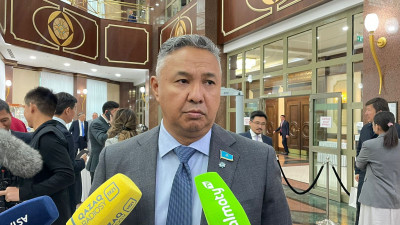 «Мазмұнды болды». Перуашев Жолдауға қатысты пікір білдірді