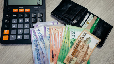 Жетісуда субсидия беруде қателіктер көп