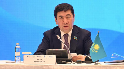 Зорлық-зомбылық құрбандары: Қошанов әйелдер не себептен арыздарынан бас тартатынын айтты