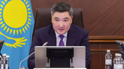 "Жұмысыңызды көрсетіңіз". Премьер-министр Қарашөкеевті сынға алды