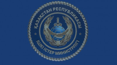 Жетісуда полиция трансұлттық ұйымдасқан қылмыстық топты ұстады