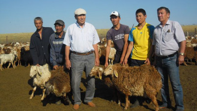 Ақтөбелік шаруа: Табанды еңбектің арқасында көп жетістікке жеттім