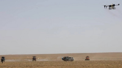 Министр ауыл шаруашылығы алқаптарын шегірткеден қорғау шараларын күшейтуді тапсырды