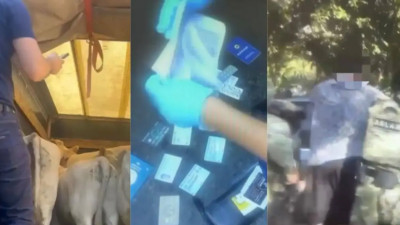 Жетісуда құны 9 млн теңгенің малын ұрлағандар анықталды